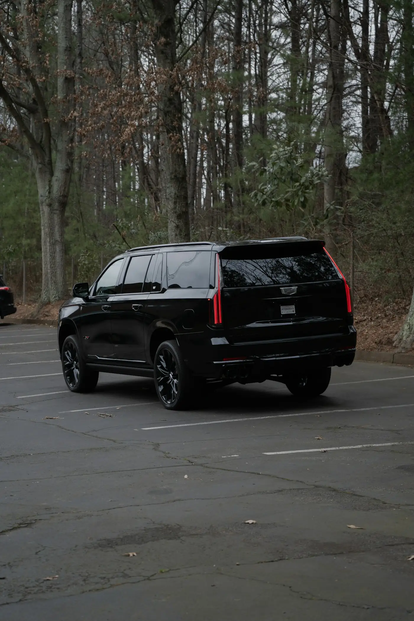 Black full-size SUV parked in a forest lot