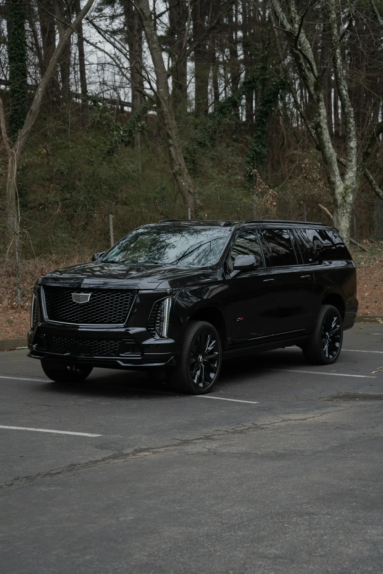 Black Cadillac Escalade parked among tall evergreen trees
